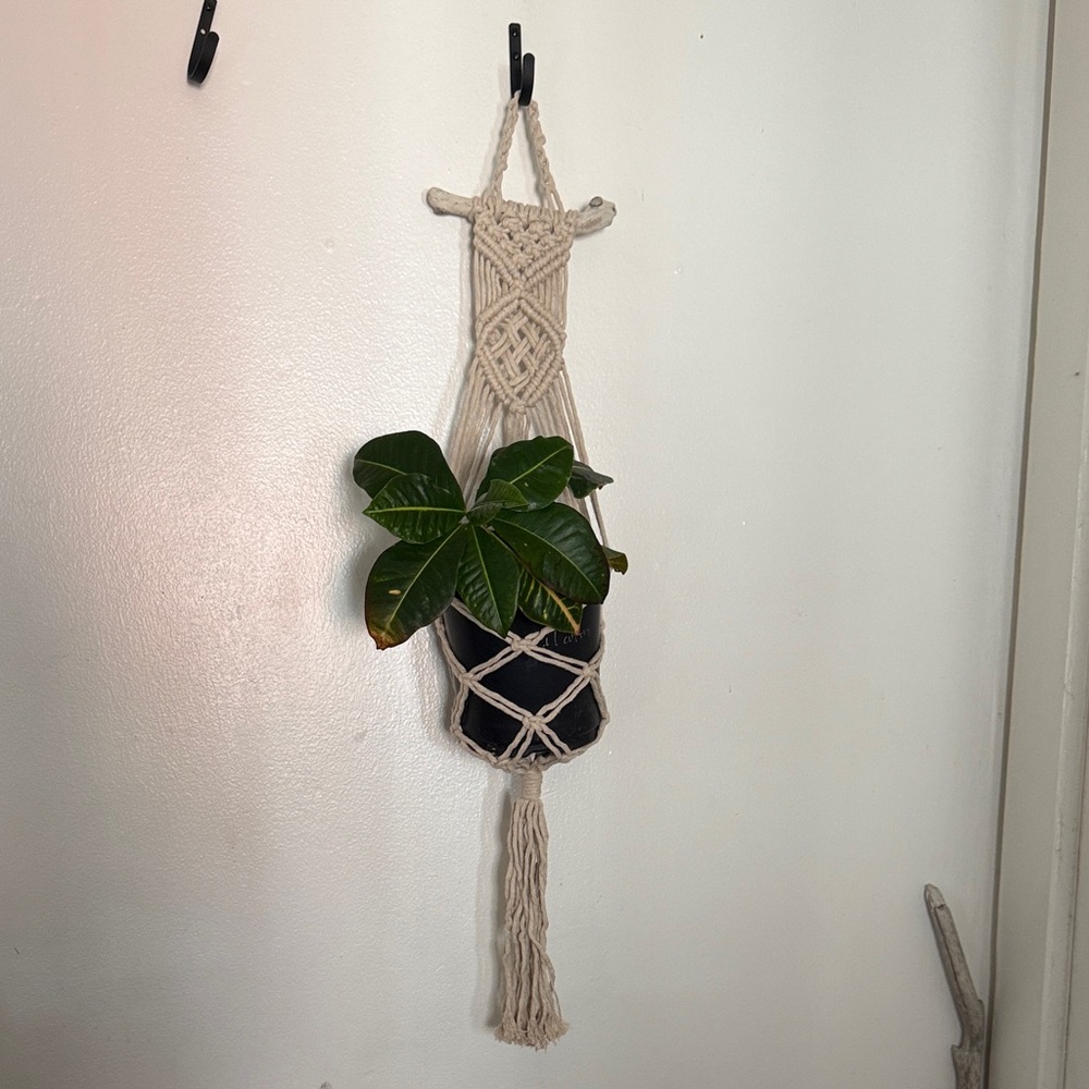 3/$25 Neutral Cream Macramé Plant Hanger - Boho Wall Plant Holder